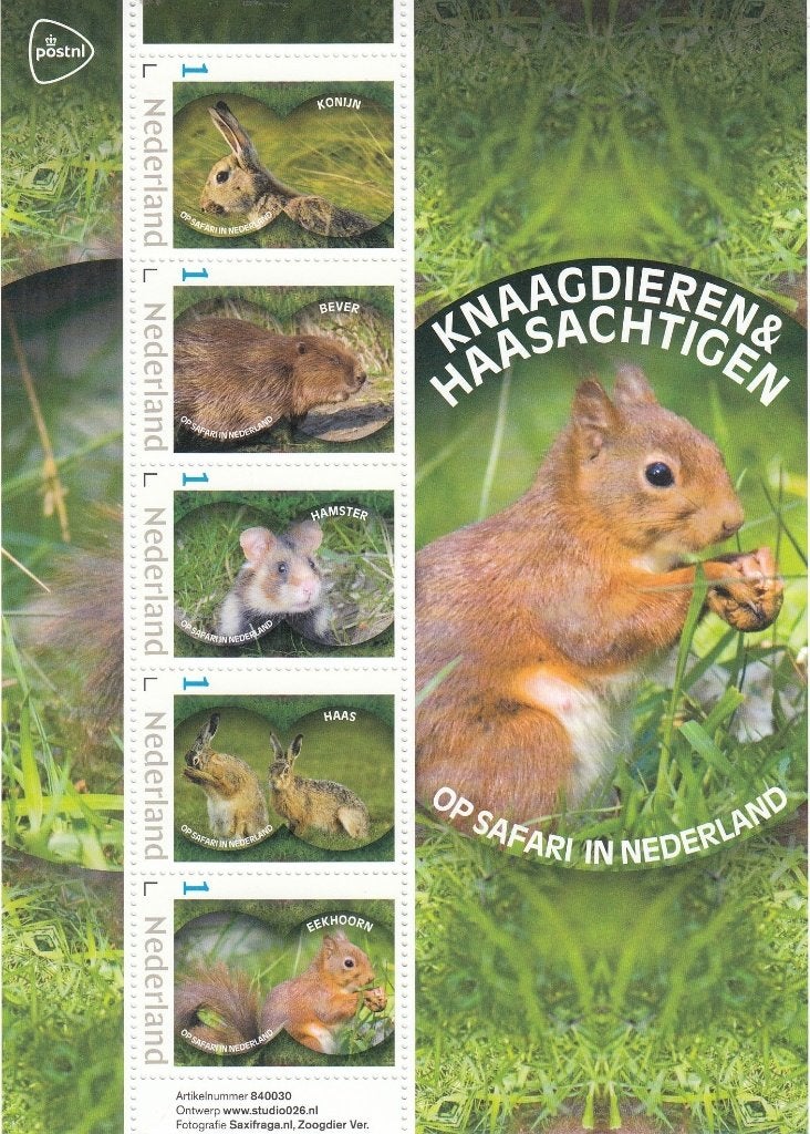 Nederland- 2024- Safari in Nederland- Complete Serie- Vel- P, Ophalen of Verzenden, Na 1940, Postfris