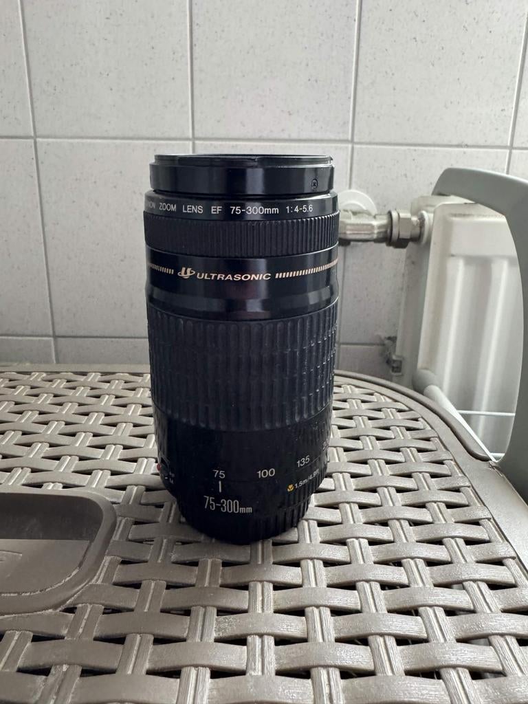 Canon EF 75-300mm USM telelens, Audio, Tv en Foto, Fotografie | Lenzen en Objectieven, Ophalen of Verzenden, Zo goed als nieuw