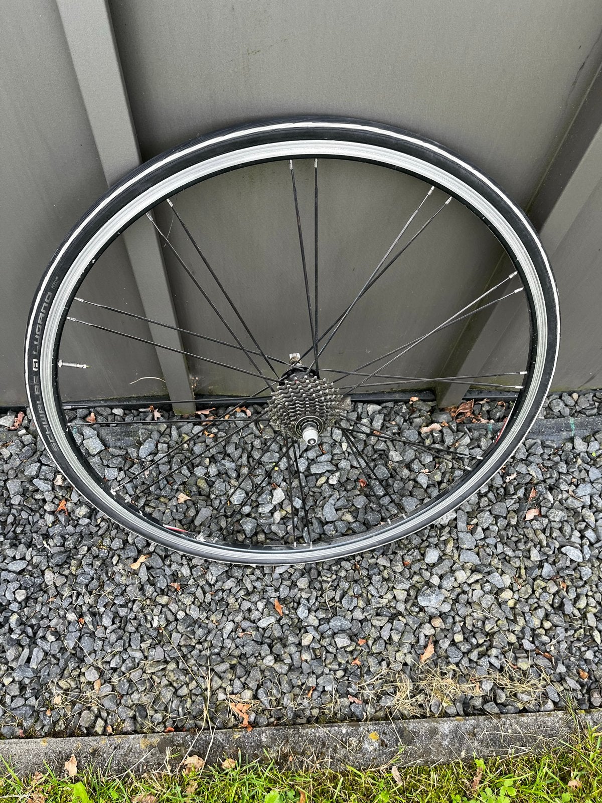 Bontrager Racefiets Achterwiel met Cassette en Band, Gebruikt, Aluminium, Racefiets, Ophalen