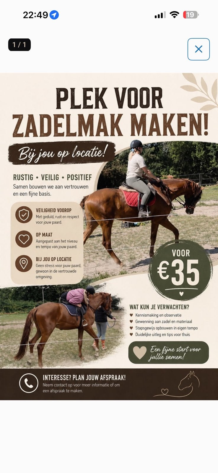 Paard zadelmak maken/door rijden van uw paard, Ophalen, Zo goed als nieuw
