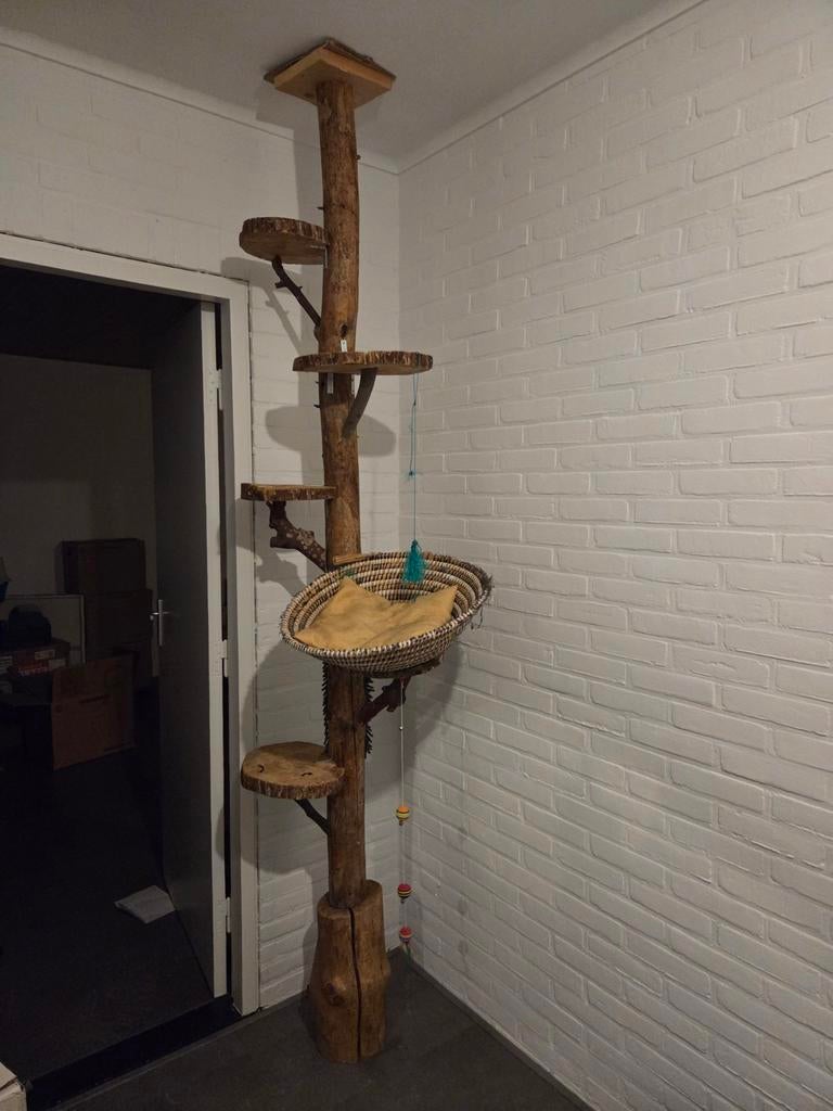 Moet nu weg! - Unieke krabpaal 260 cm hoog van echt hout, Ophalen, Gebruikt, Krabpaal