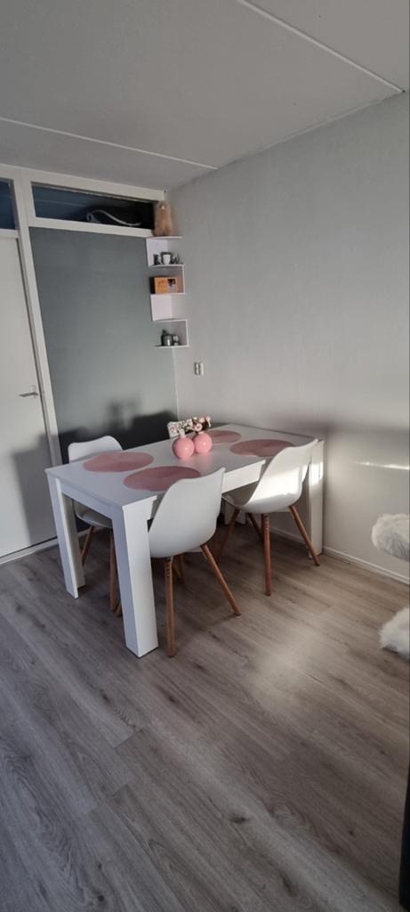 Eettafel met stoelen, Ophalen, Gebruikt, 200 cm of meer, 50 tot 100 cm
