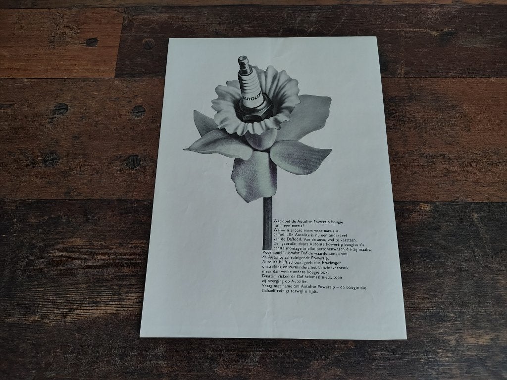 Reclame: DAF 31/ daffodil/ Variomatic (1964) 29 x 21 cm, Verzenden, Gebruikt, Auto's