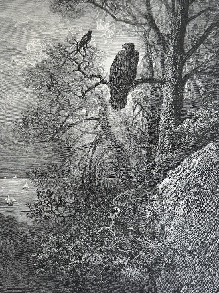 De adelaar en de ekster - antieke Doré houtgravure 1890, Antiek en Kunst, Kunst | Etsen en Gravures, Ophalen of Verzenden, 30 cm