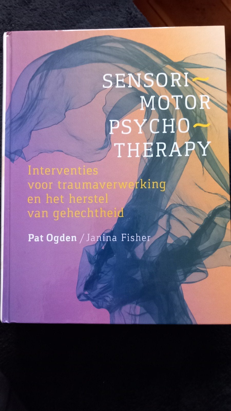 Sensorimotor Psychotherapy: Traumaverwerking & Hechting, Boeken, Psychologie, Ophalen of Verzenden, Zo goed als nieuw, Klinische psychologie