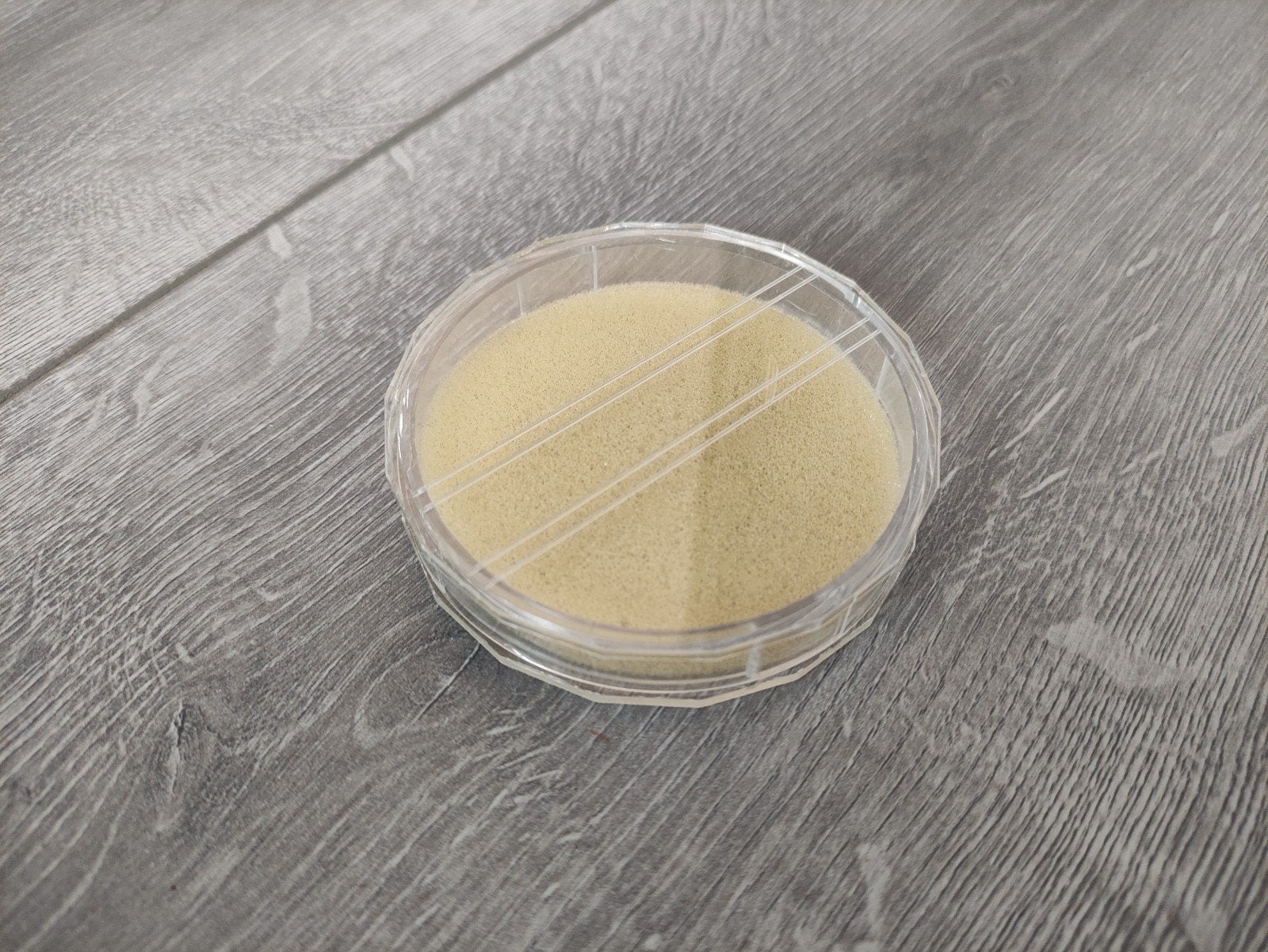 Plastic bakje voor lens €2 per stuk, Ophalen of Verzenden