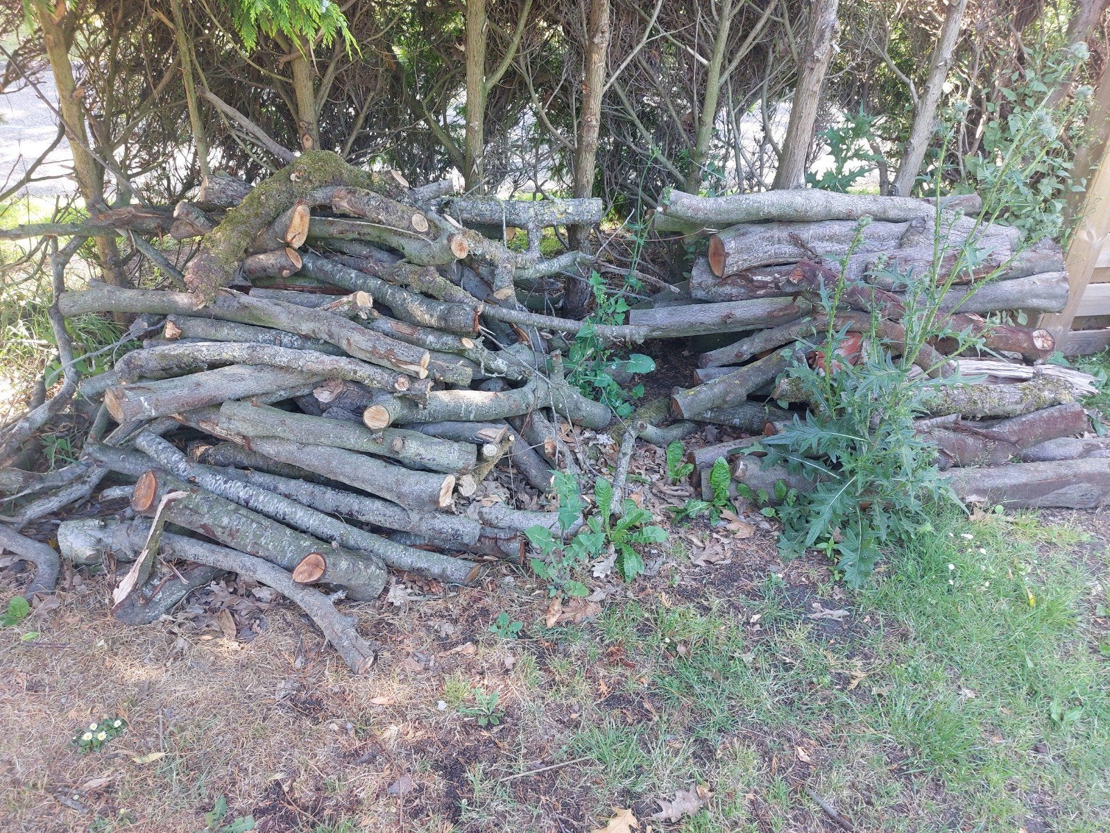 Hout takken en houtsnippers, Tuin en Terras, Haardhout, Minder dan 3 m³, Ophalen, Overige houtsoorten, Stammen