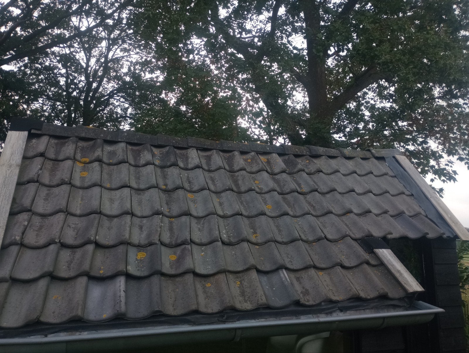 200 Oudhollandse dakpannen - Gebruikt, Doe-het-zelf en Verbouw, Gebruikt, Steen of Klei, Ophalen of Verzenden, Dakpannen