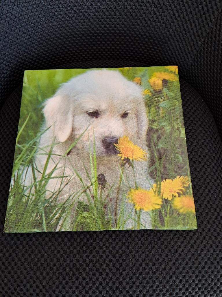 Canvas doek met puppie, Minder dan 50 cm, Ophalen of Verzenden, Zo goed als nieuw, Schilderij