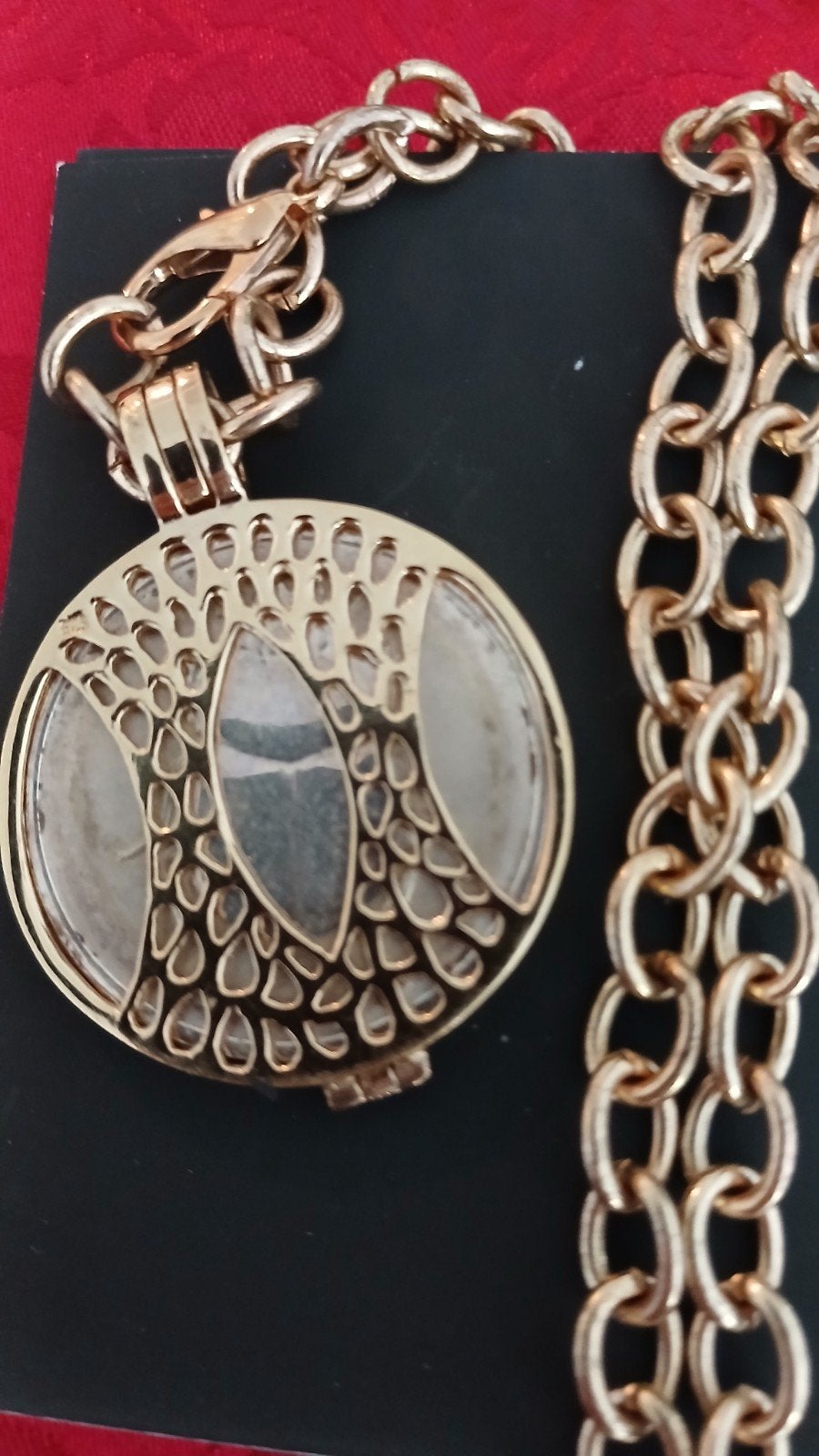prachtige nieuwe ketting met hanger, Nieuw, Ophalen of Verzenden, Zilver, Overige materialen