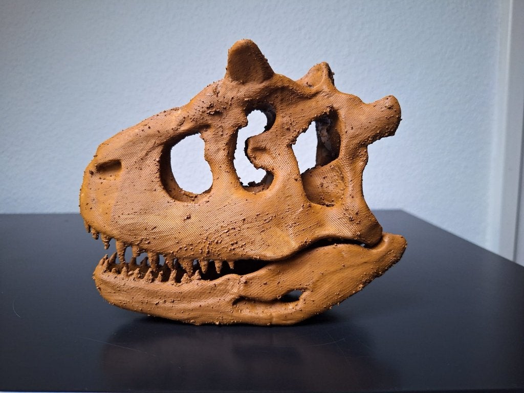 Unieke Carnotaurus Schedel (Juveniel) - Replica, Verzenden, Fossiel