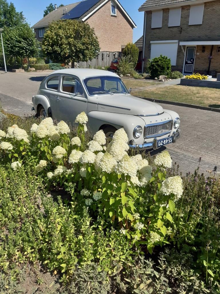 Volvo PV 544, 1,6 liter, kleur grijs., Achterwielaandrijving, Overige modellen, 4 cilinders, Overige kleuren