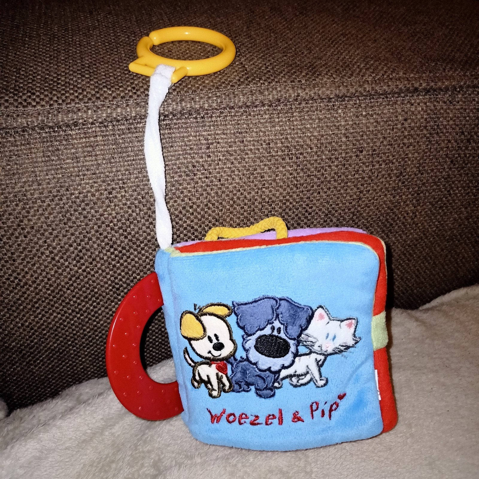 Woezel en pip buggieboekje., Met geluid, Zo goed als nieuw, Meerkleurig, Tiamo
