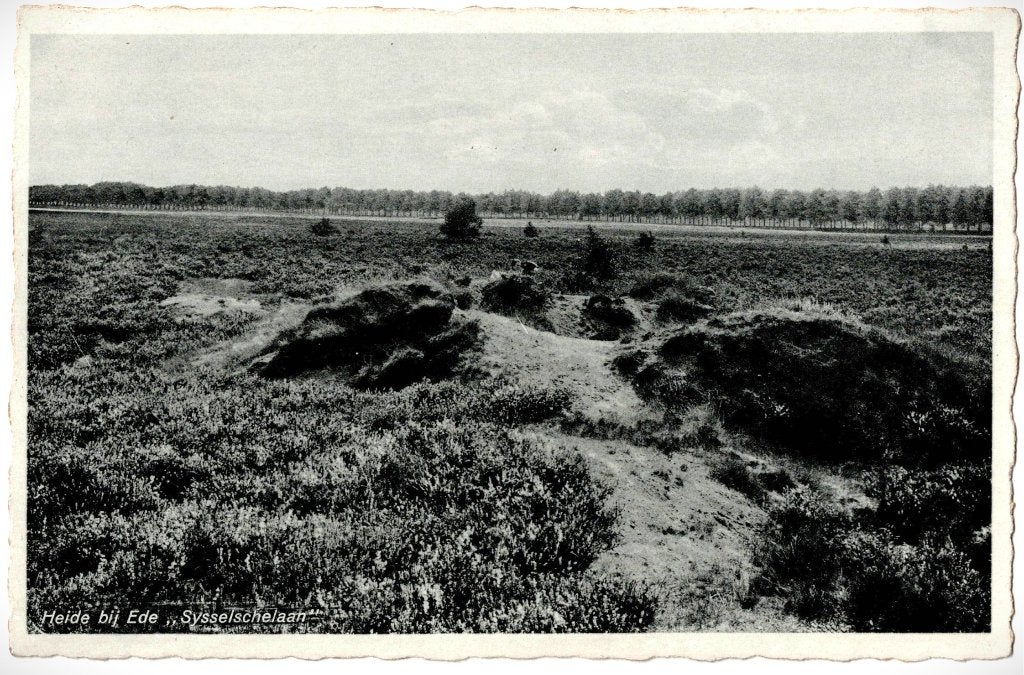 Ede, heide bij Sysselschelaan, ongelopen,, Verzenden, 1940 tot 1960, Ongelopen, Gelderland