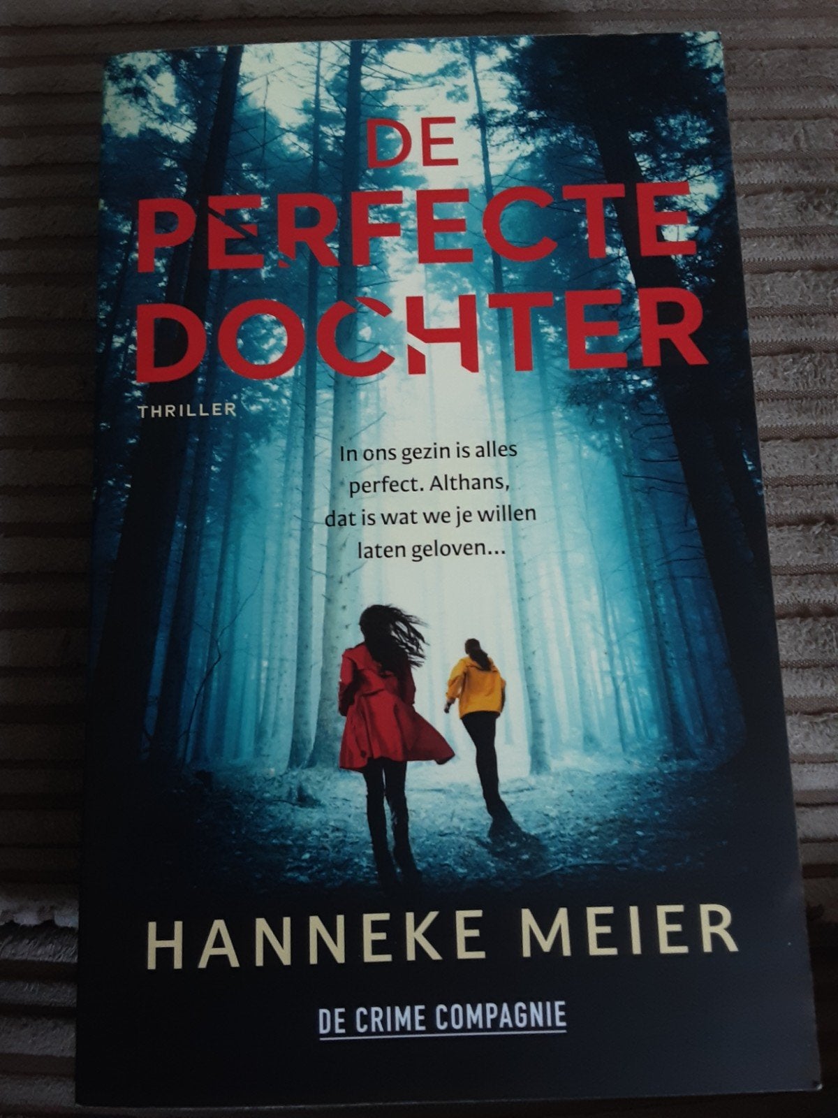 De Perfecte Dochter - Hanneke Meier (Thriller), Ophalen of Verzenden, Zo goed als nieuw, Hanneke Meier, Nederland