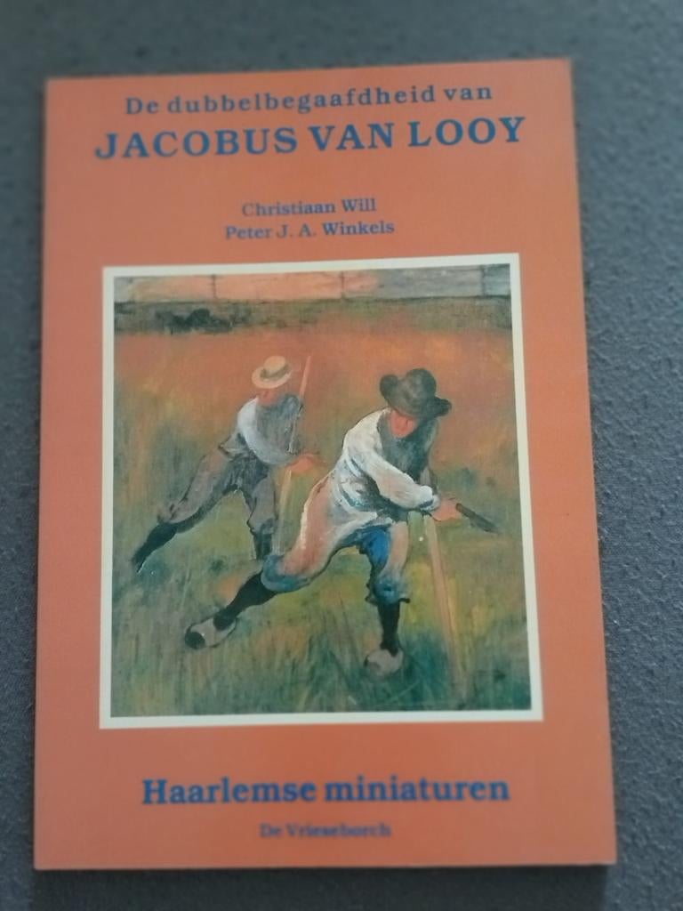 De dubbelbegaafdheid van Jacobus van Looy, Ophalen of Verzenden, Gelezen