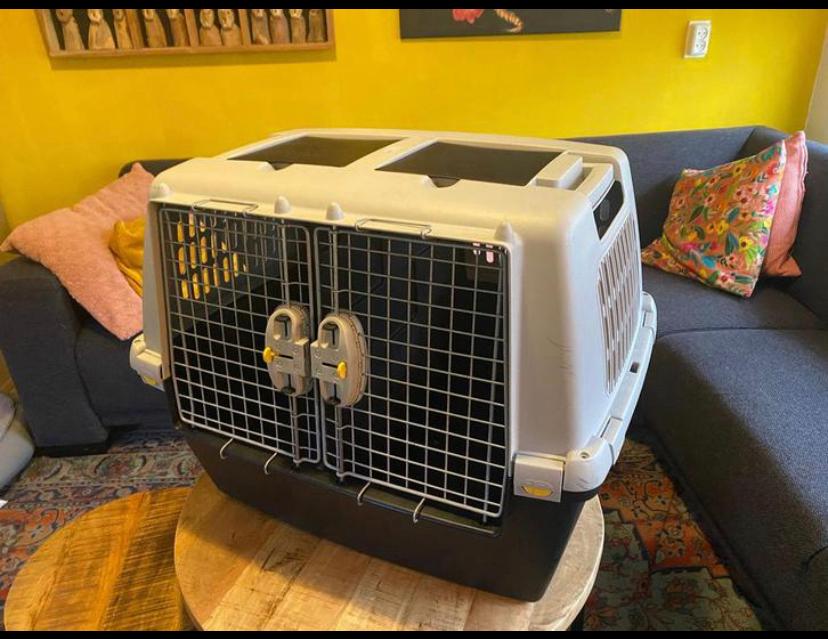 Honden Transportbox - Goed!, Dieren en Toebehoren, Transportboxen, Zo goed als nieuw, Ophalen