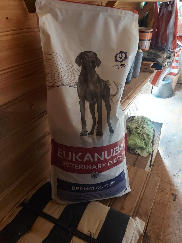 Hondenvoer en snacks, Ophalen of Verzenden, Hond