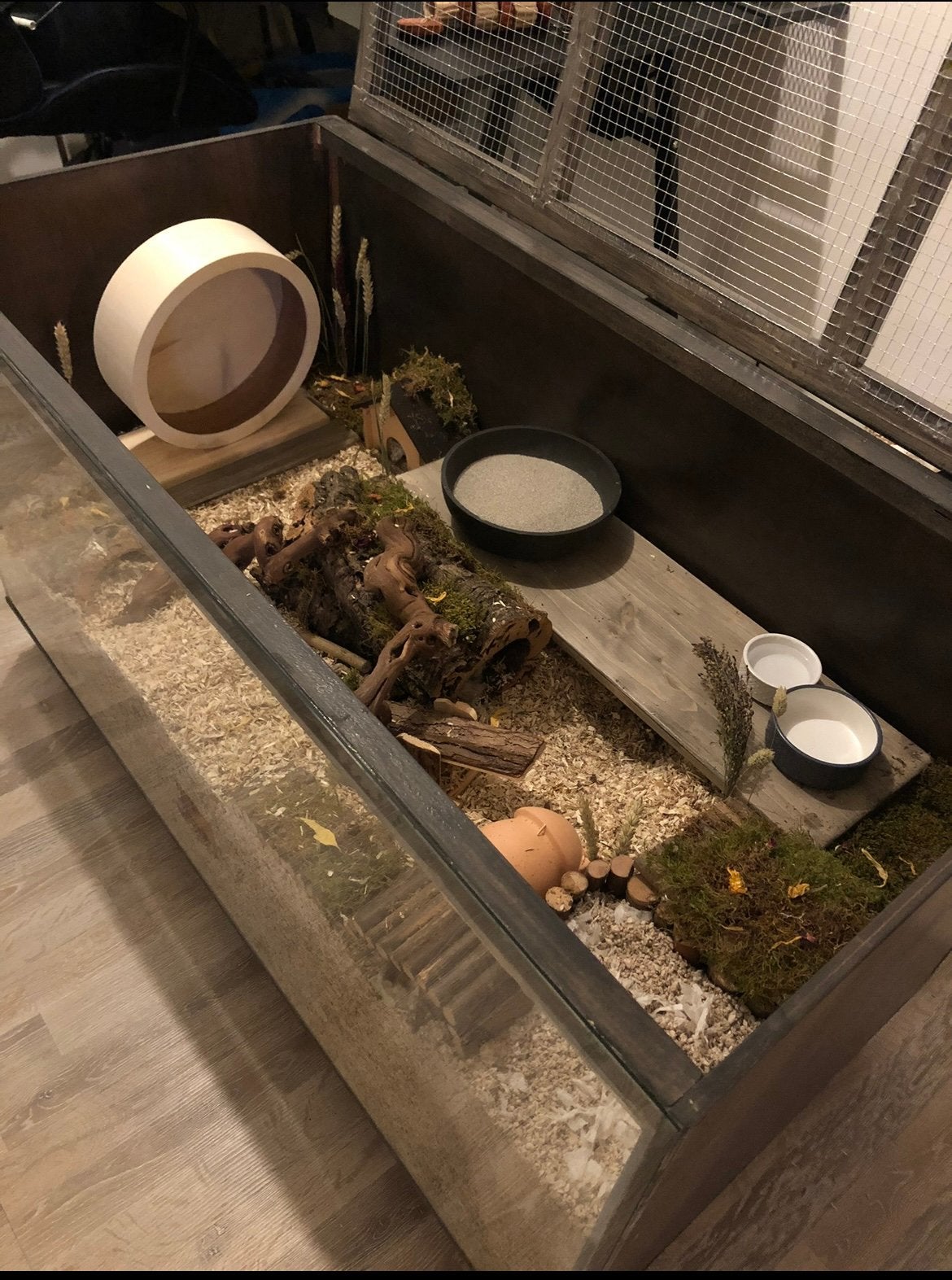 Grote hamsterscaping kooi op wieltjes inclusief spullen, Dieren en Toebehoren, Knaagdieren en Konijnen | Hokken en Kooien, Ophalen