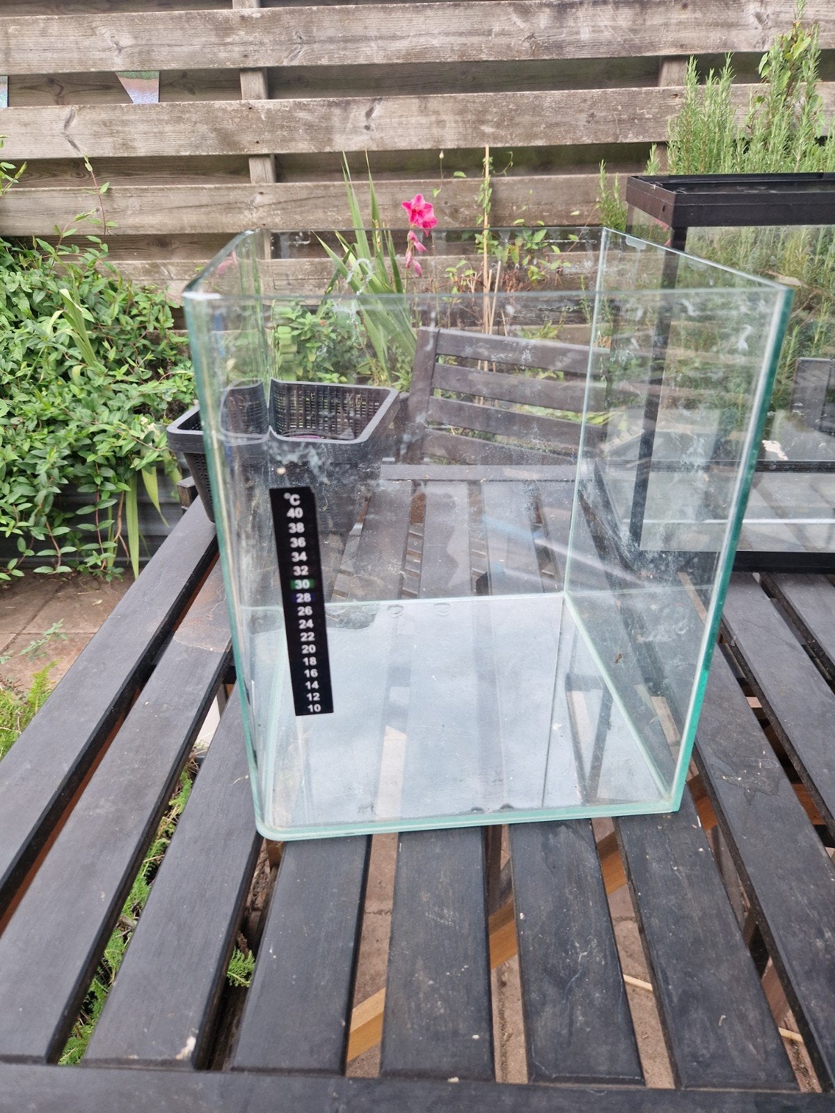 nano cube dennerle, Ophalen, Minder dan 75 cm, Hok, Minder dan 60 cm