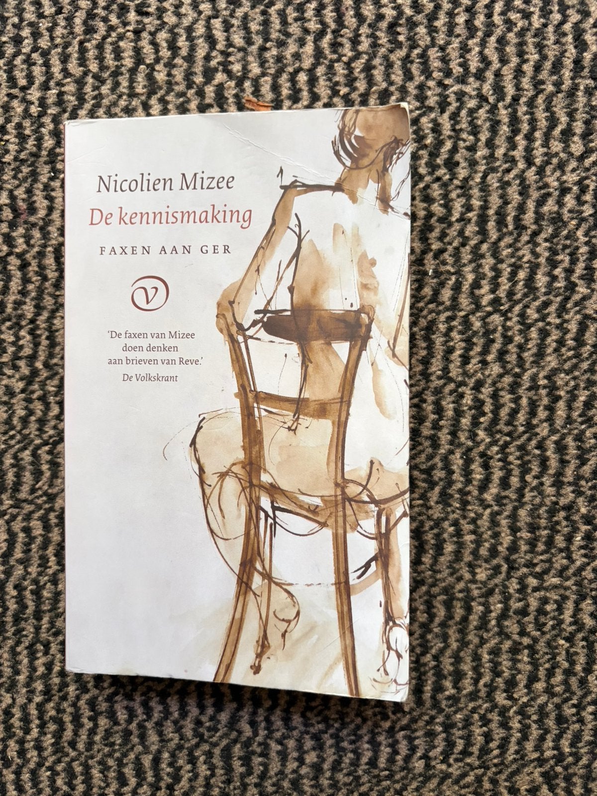 De kennismaking/Nicolien Mizee, Ophalen of Verzenden, Zo goed als nieuw