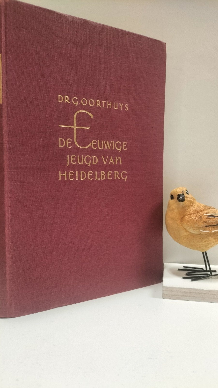 Oorthuys, Dr. G.; De eeuwig jeugd van Heidelberg, Ophalen of Verzenden, Gelezen, Christendom | Protestants