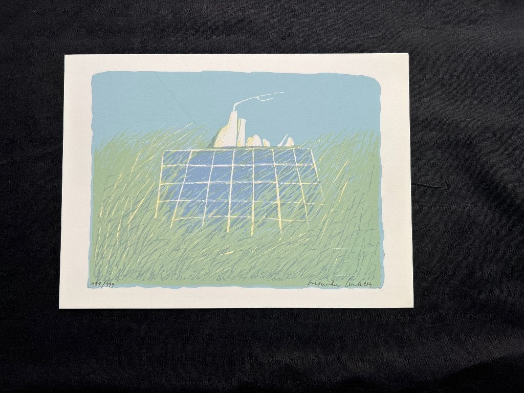 Zeefdruk Monika Lenssen   ZOMEROPRUIMING, Antiek en Kunst, Kunst | Litho's en Zeefdrukken, Origineel, Ophalen of Verzenden, Zeefdruk