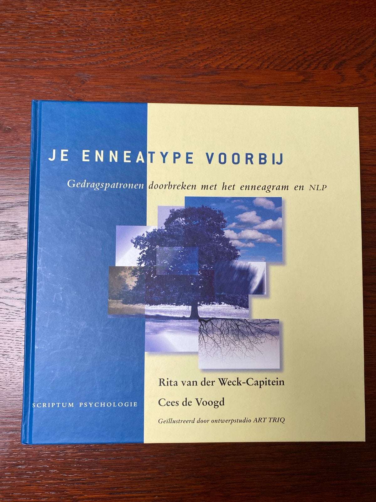 Je Enneatype Voorbij - Gedragspatronen doorbreken, Boeken, Ophalen of Verzenden, Zo goed als nieuw