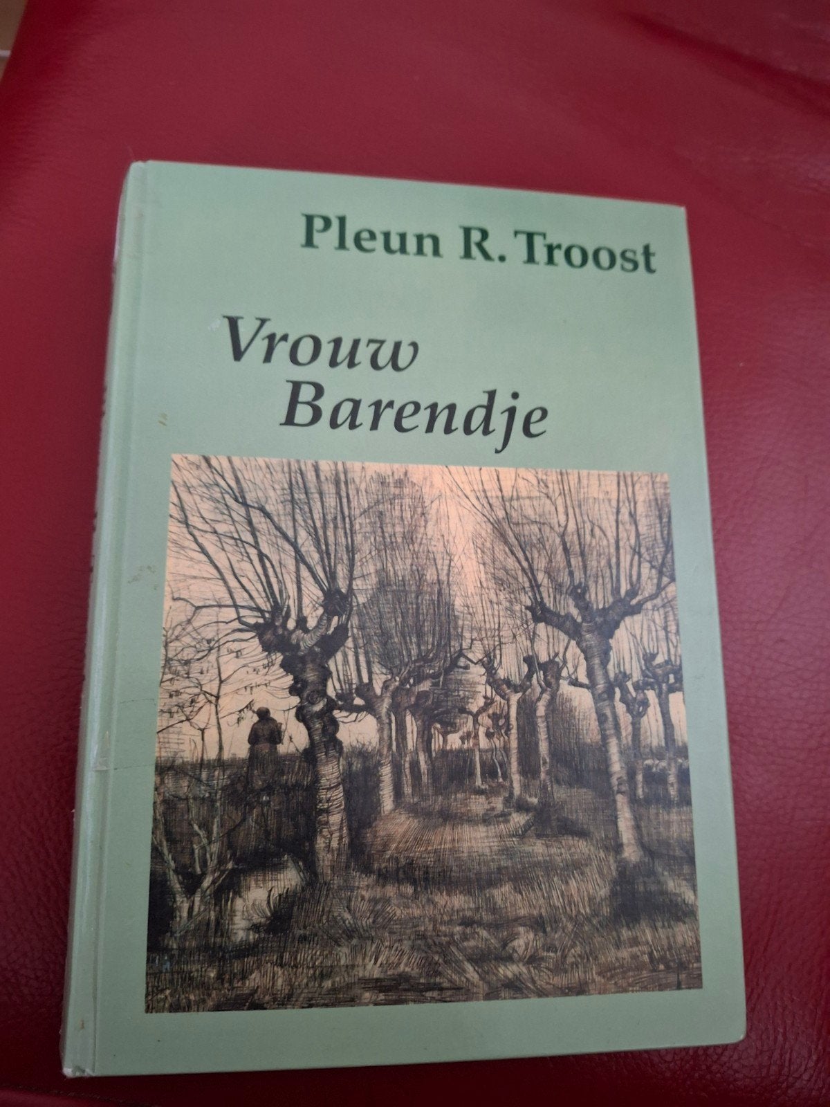 Vrouw Barendje - Pleun R. Troost (Grote Letter Bibliotheek), Boeken, Ophalen of Verzenden, Gelezen, Pleun R. Troost