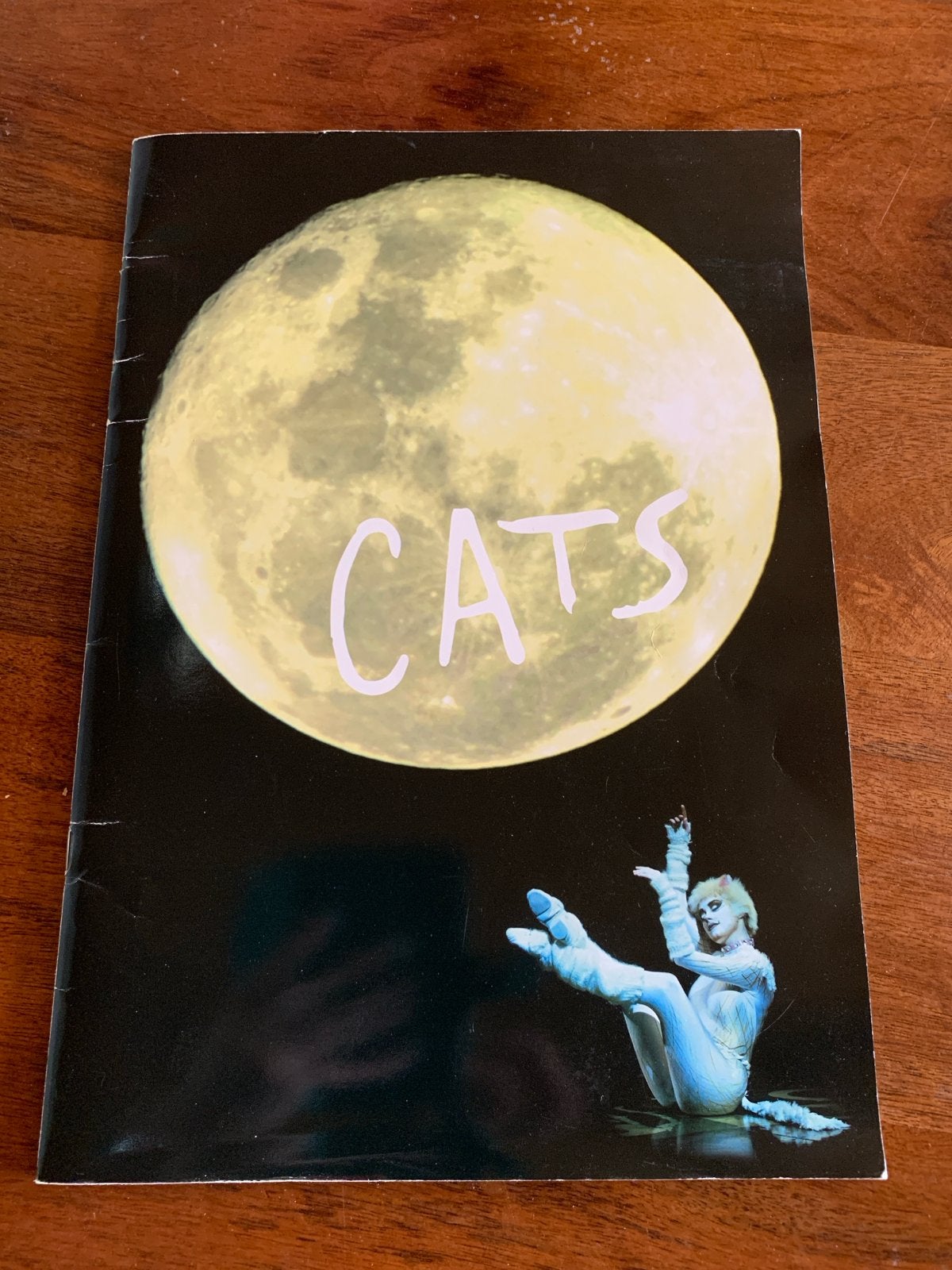 Brochure musical Cats 1989, Ophalen of Verzenden, Gelezen, Catalogus