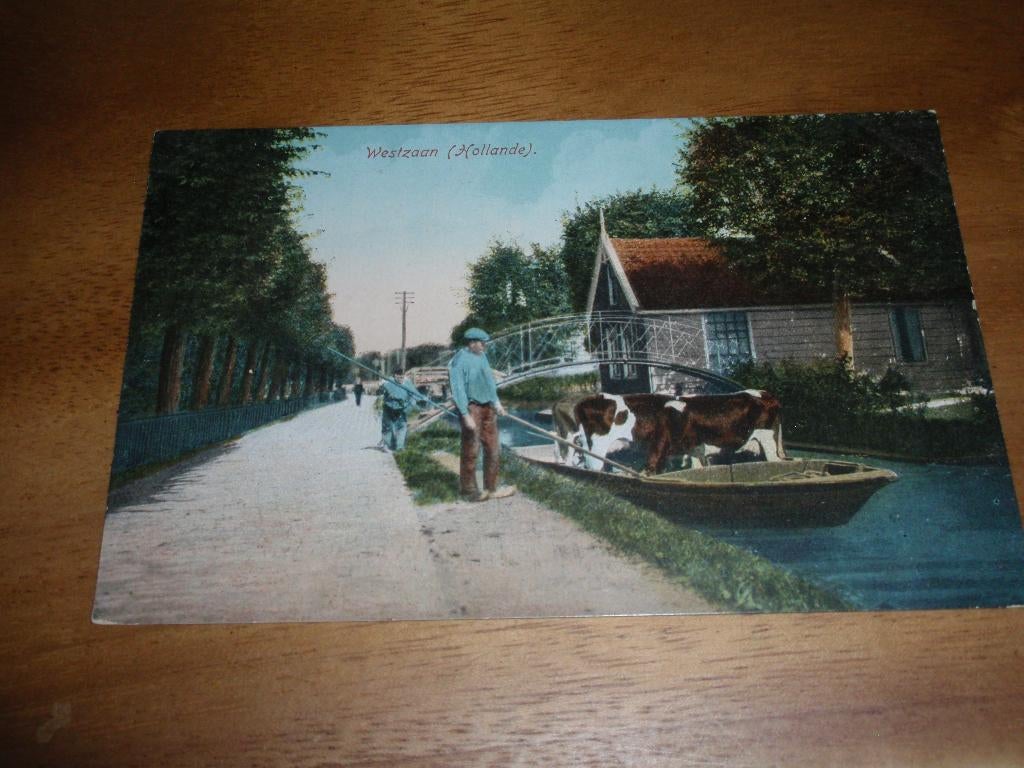 Reclamekaart Blooker Cacao Westzaan Folklore Reclame, Verzenden, Voor 1920, Ongelopen, Noord-Holland