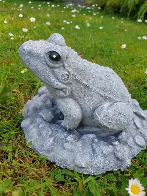 tuinbeeld van een kikker , beton, Tuin en Terras, Tuinbeelden, Ophalen of Verzenden, Atw, Atw, Nieuw