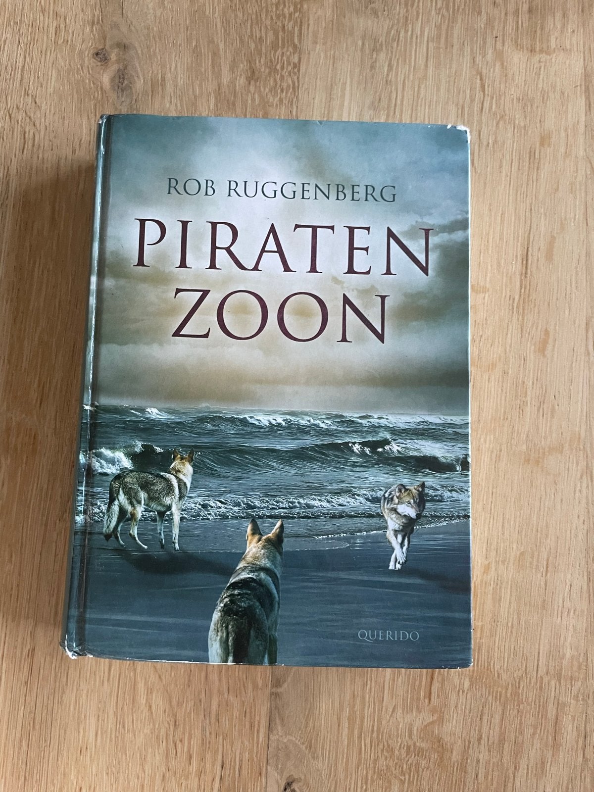Piratenzoon - Rob Ruggenberg (Jeugdboek), Ophalen of Verzenden, Gelezen, Fictie