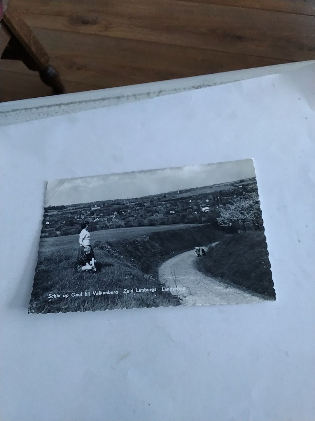 Oude ansichtkaart Schin op Geul bij Valkenburg, Ophalen of Verzenden, 1960 tot 1980, Gelopen, Limburg