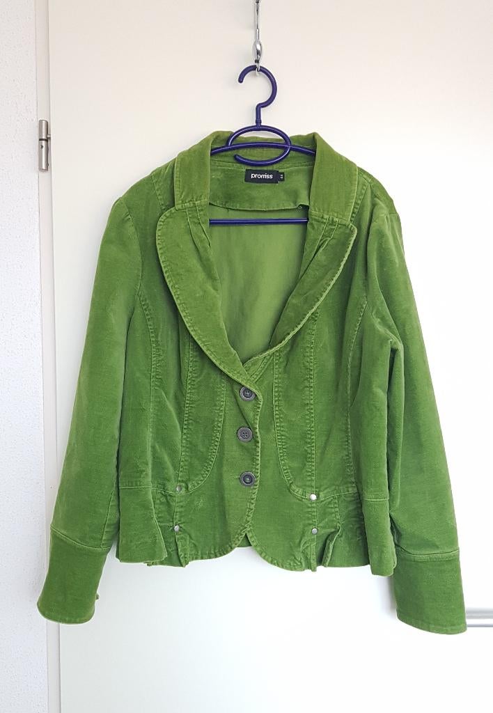 Colbert / blazer jasje maat 44, Kleding | Dames, Promiss, Maat 42/44 (L), Ophalen of Verzenden, Jasje