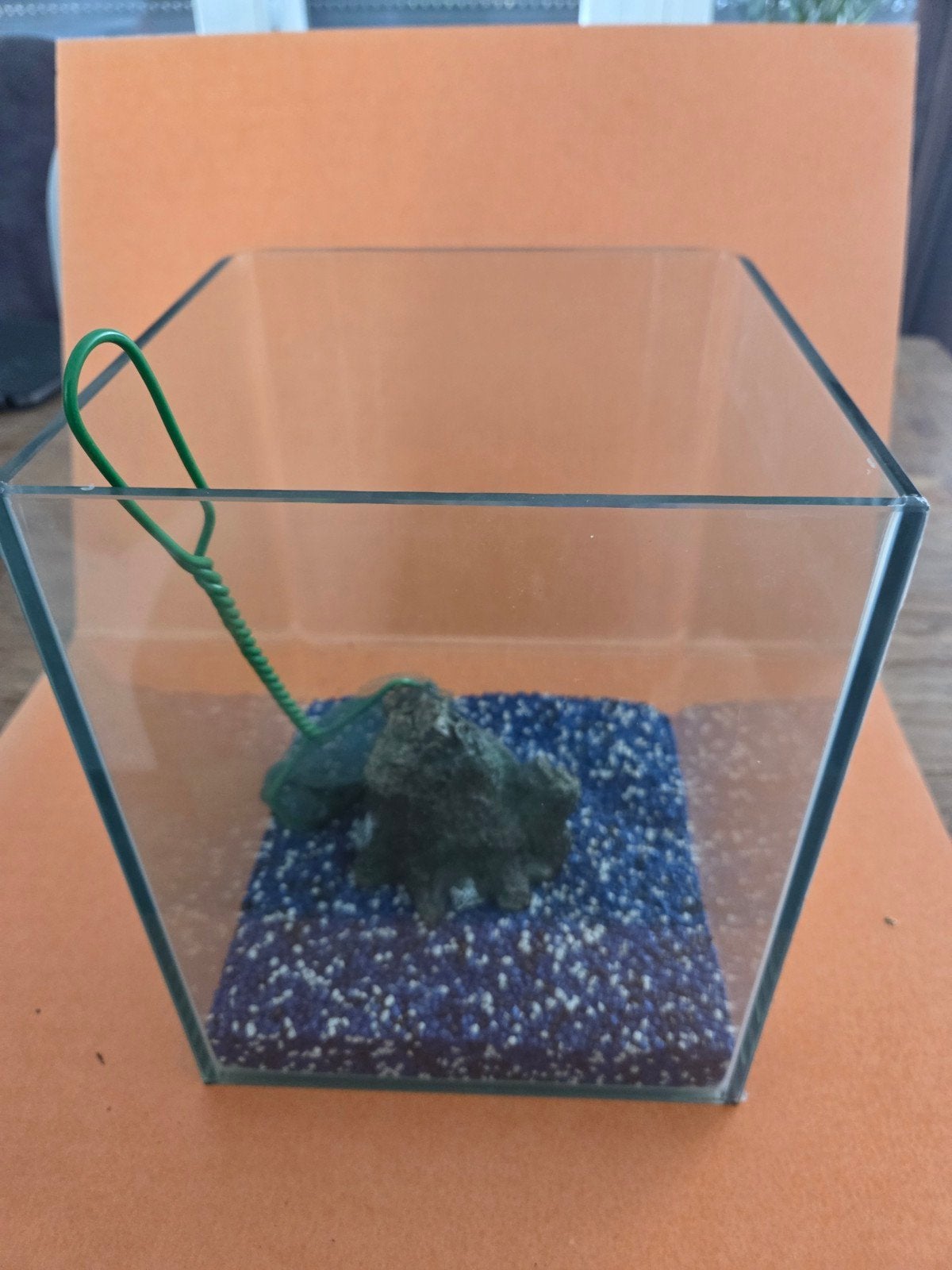 Aquarium voor beginners, Ophalen of Verzenden, Zo goed als nieuw, Leeg aquarium