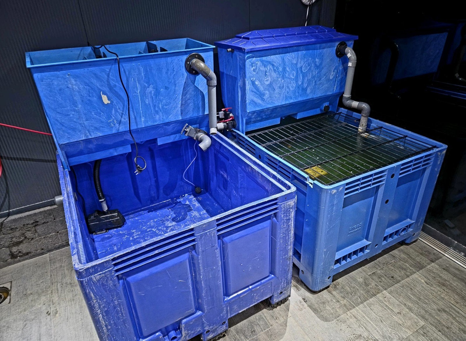 quarantaine bak compleet met pomp en uv lamp, Tuin en Terras, Ophalen, Zo goed als nieuw, Vijverbak