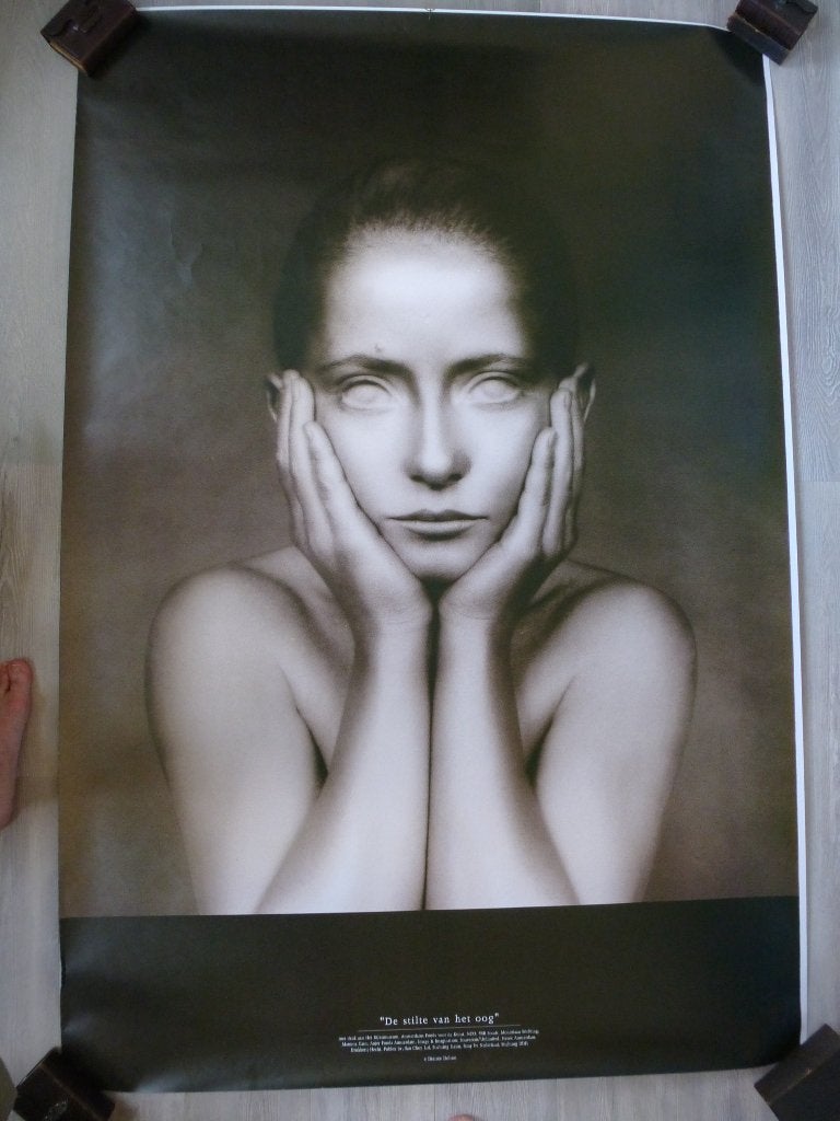 Desiree Dolron - "The Silence of the Eye" - 3 grote posters, Boeken, Zo goed als nieuw, Desiree Dolron, Ophalen, Fotografen