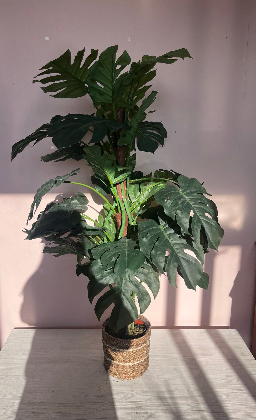 Grote kunstplant Monstera met rieten mand, 126 cm, Ophalen, Binnen, Kunstplant, Kunststof