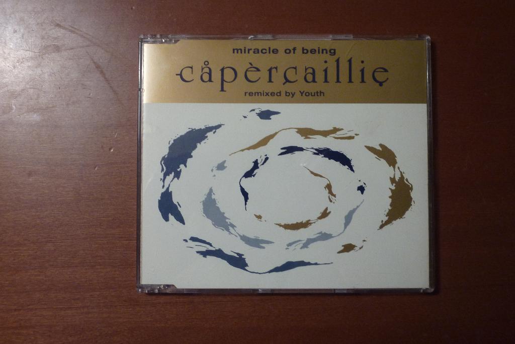 Capercaillie - Miracle Of Being, Ophalen of Verzenden, Gebruikt