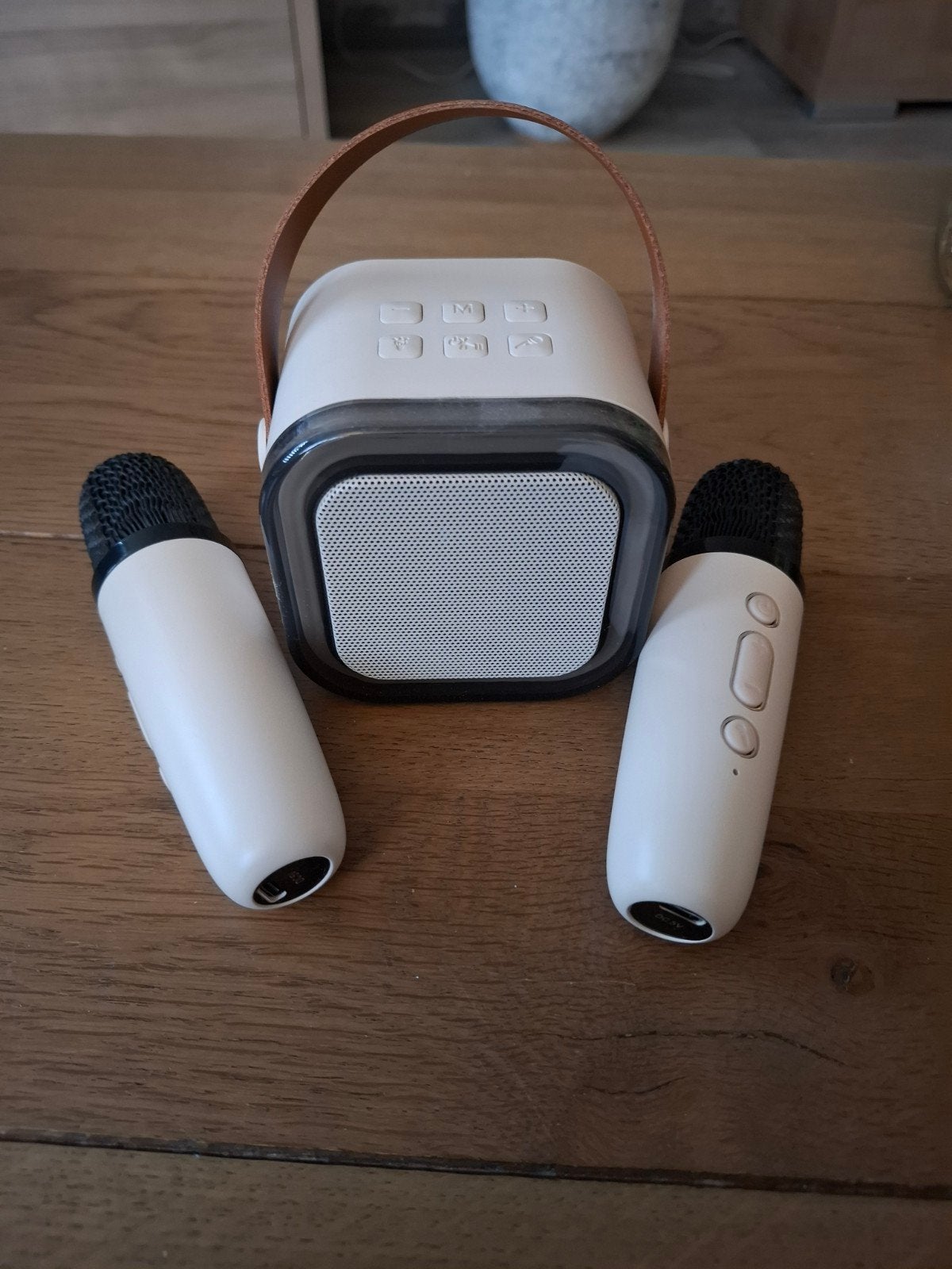 Karaoke set met draagbare speaker en 2 microfoons, Ophalen, Zo goed als nieuw, Complete set