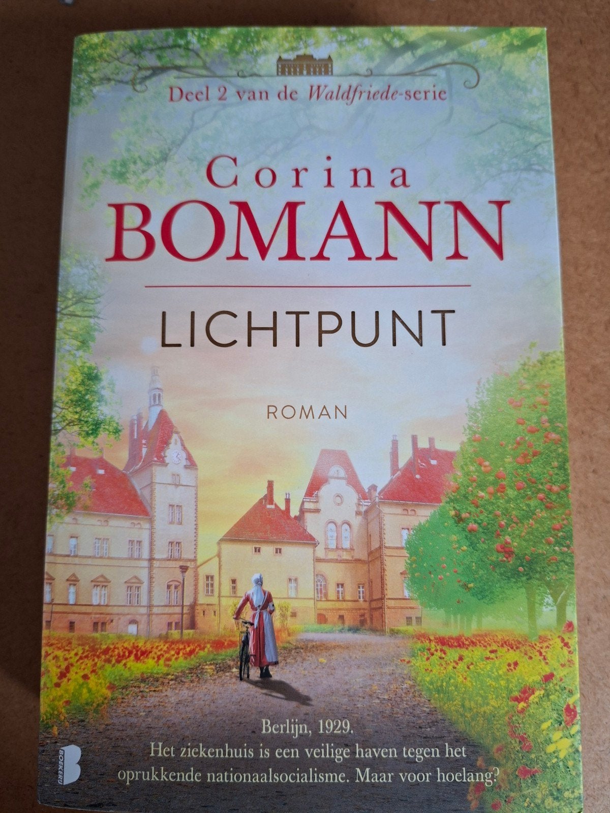Lichtpunt - Corina Bomann (Waldfriede serie deel 2), Boeken, Ophalen, Zo goed als nieuw, Corine bomann
