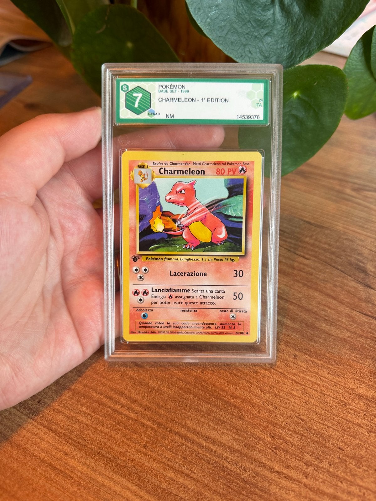 Pokemon Charmeleon Base Set 1999 Italiaans GRAAD 7, Ophalen of Verzenden, Zo goed als nieuw, Losse kaart