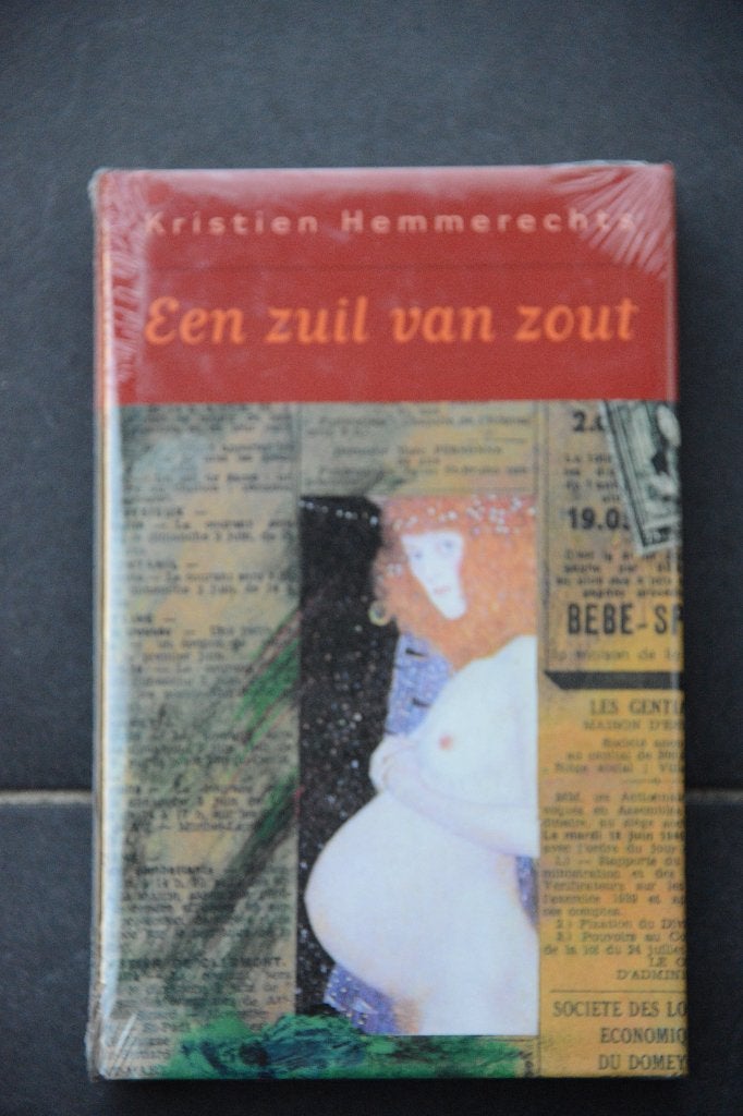 Een zuil van zout. Kristien Hemmerechts., Ophalen of Verzenden, Nieuw, Kristien Hemmerechts, België