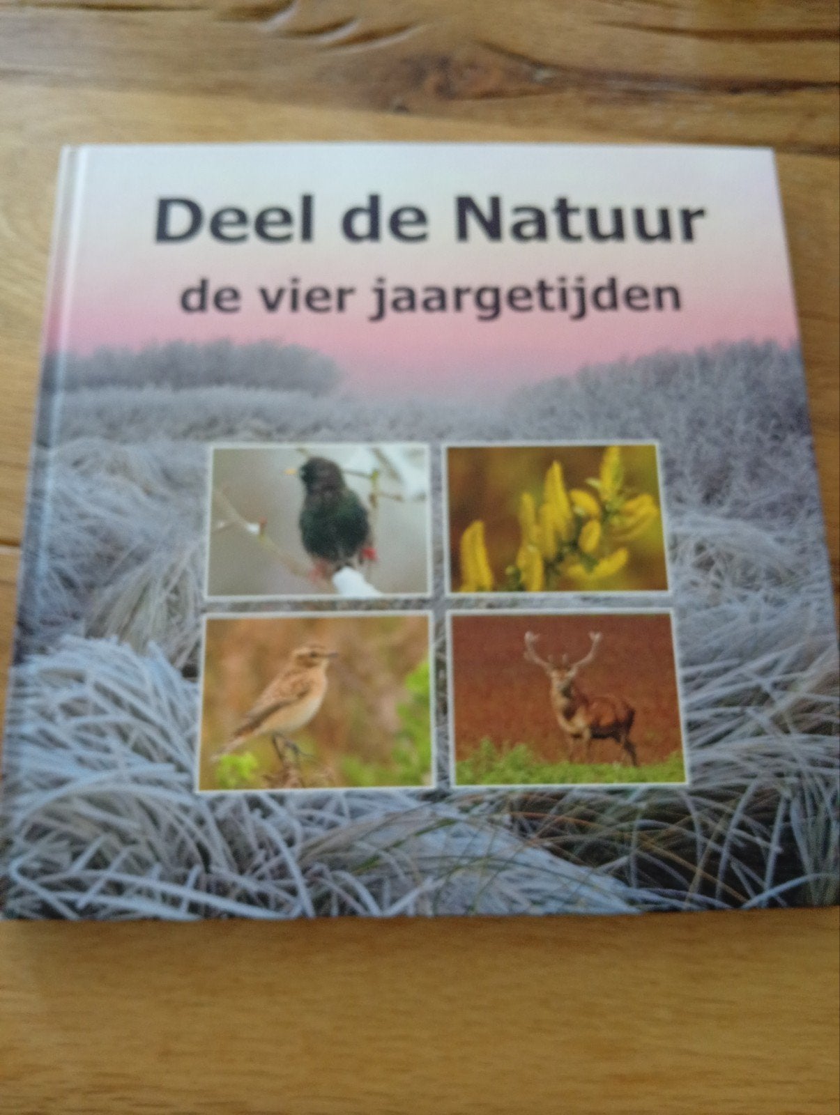 Deel de Natuur: De Vier Jaargetijden - Alexander Koenders, Ophalen of Verzenden, Zo goed als nieuw, Natuur algemeen, Alexander Koenders