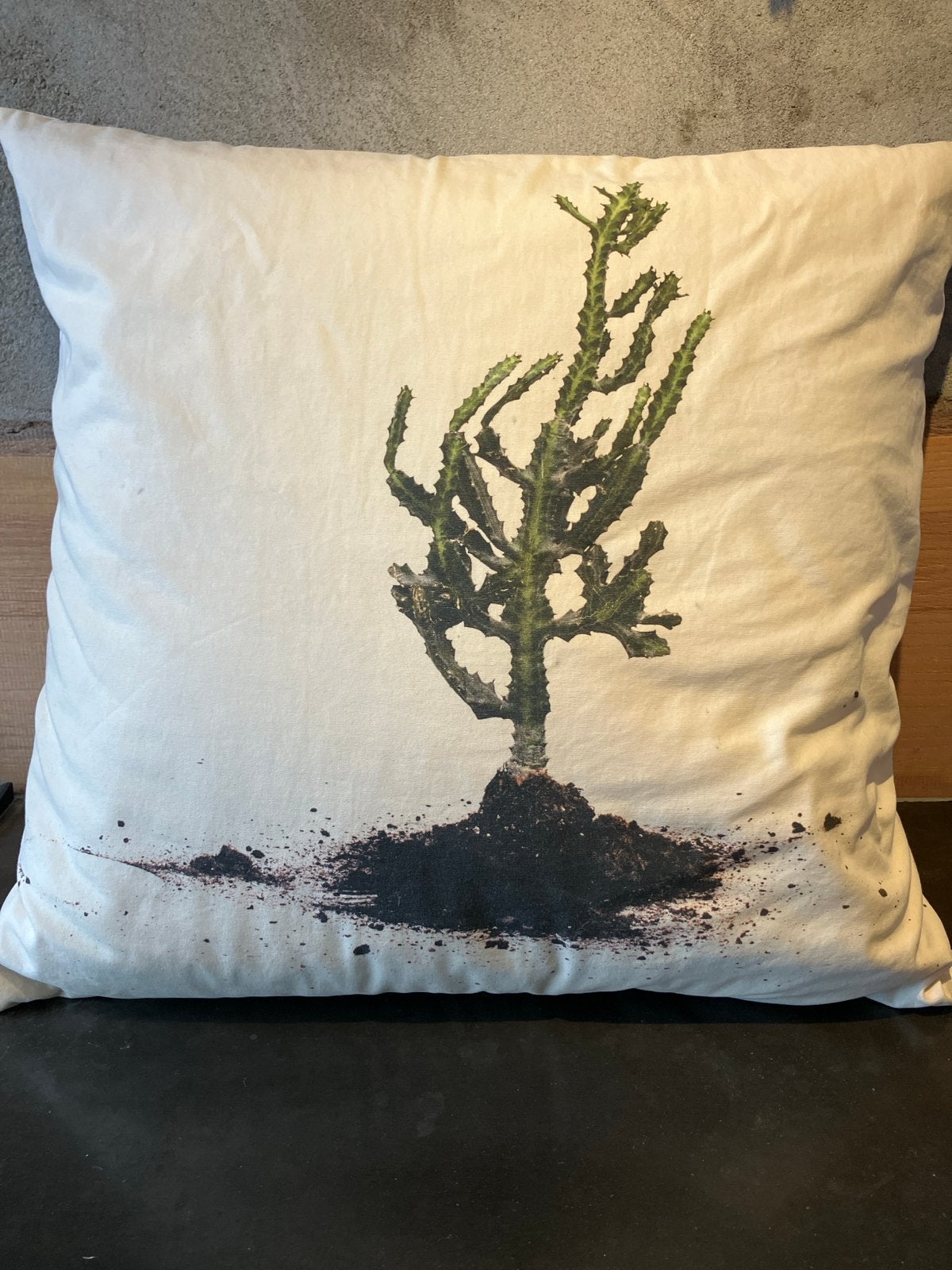 IKEA STUNSIG Donskussen met kussenhoes cactusprint 65x65 cm, Wit, IKEA, Afneembare hoes, Vierkant