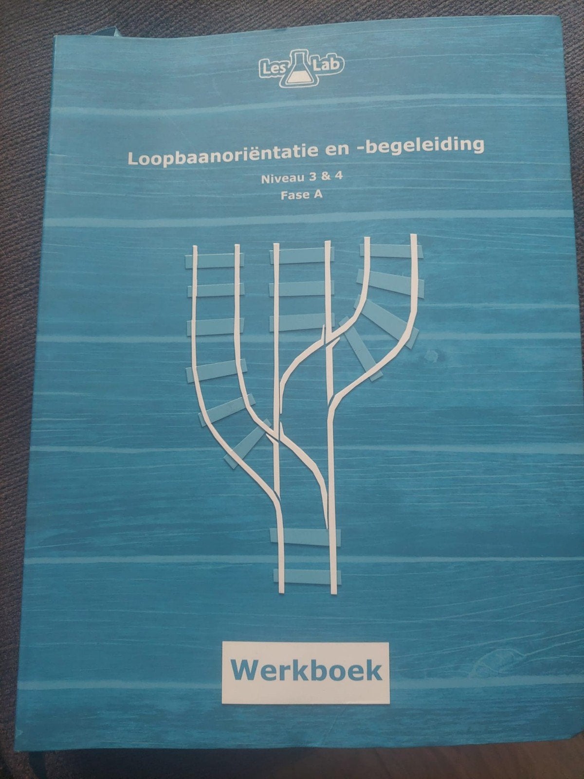 Werkboek Loopbaanoriëntatie en Begeleiding Niveau 3&4 Fase A, Boeken, Studieboeken en Cursussen, Zo goed als nieuw, MBO, Alpha