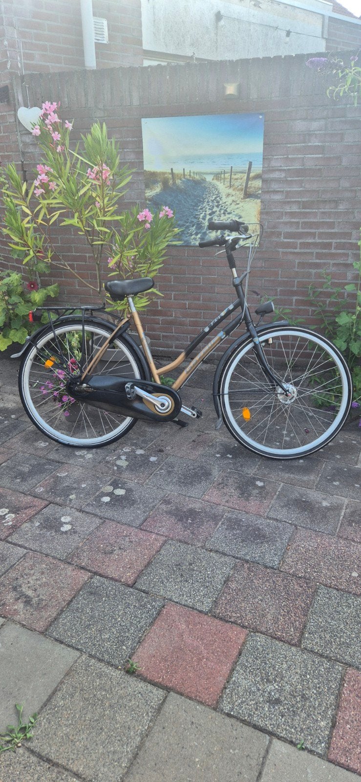 Goed onderhouden dames Gazelle fiets, Ophalen of Verzenden, Gebruikt, Versnellingen