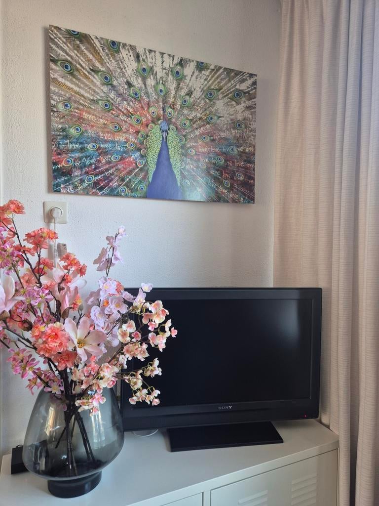 Schilderij Pauw (60 x 90 cm), Antiek en Kunst, Kunst | Schilderijen | Klassiek, Ophalen