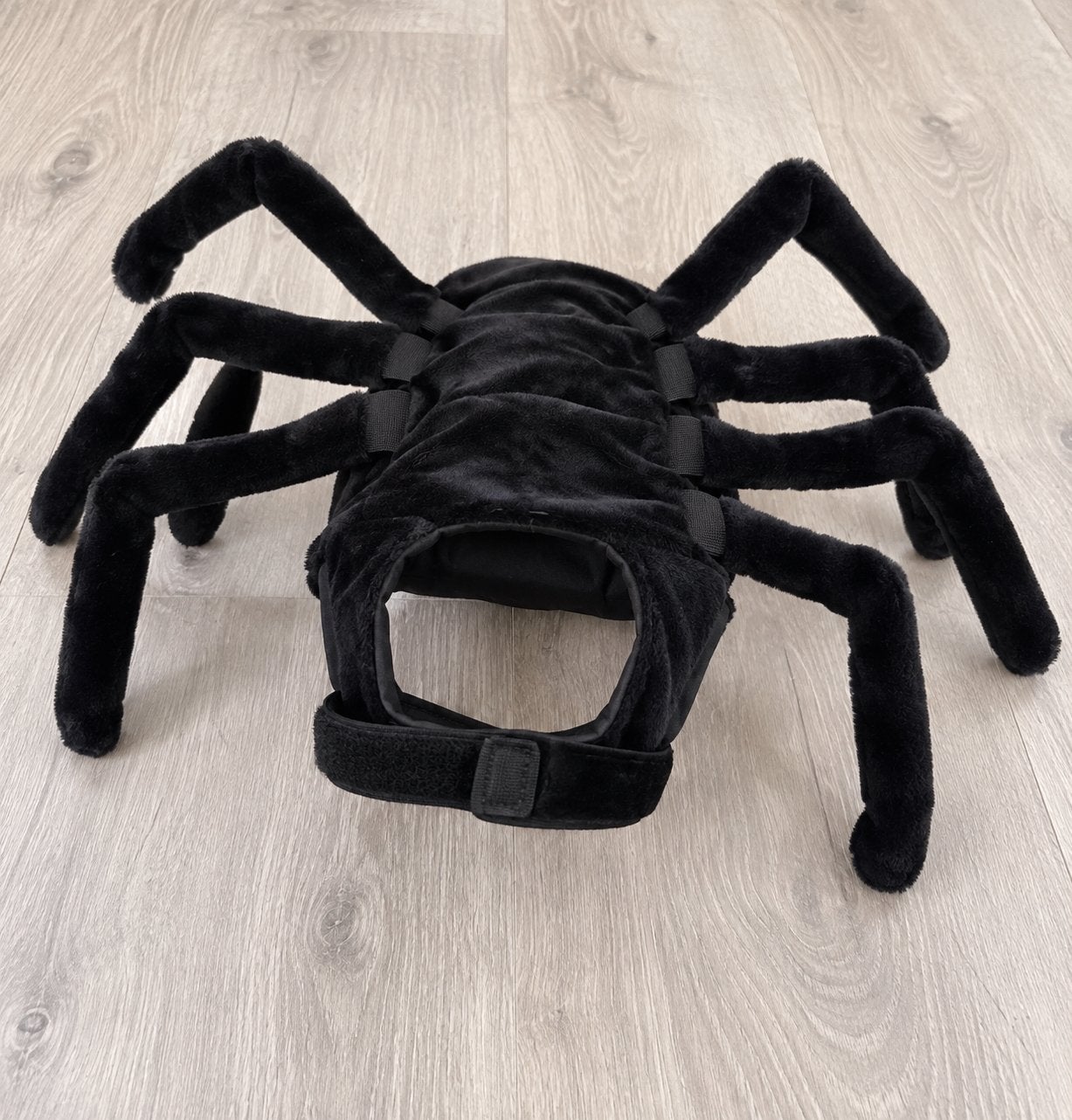 Honden helloween kostuum spin, Ophalen of Verzenden, Nieuw